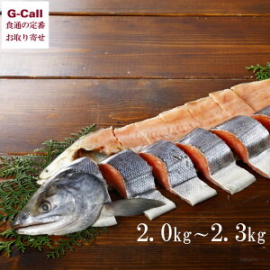 ԑY V {܂邲Ɛ؂g S 2kg`2.3kg  kCY  H  ؂g kCY Ⓚ ^pbN y Mtg 蕨 v[g