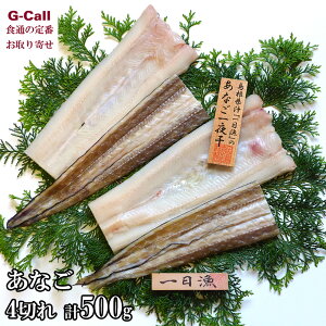 xX V̉H Ȃ銱l Ȃ 4؂ v500g kCEꑗ q AiS  銱 V  Yn   Mtg