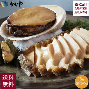  т̎ϊL 鸎ϊL 1 ̕t 60g ؔ  ① Y Ar  L   ̍ V[t[h     Mtg 