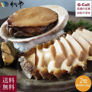  т̎ϊL 鸎ϊL 2 ̕t v120g ؔ  ① Y Ar  L  V[t[h   ܂  Mtg [J[