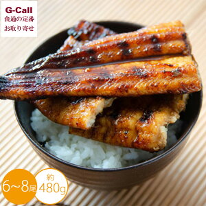  ĂȂ 6`8 480g kCEꑗ  q Ȃ AiS ނ VR  i y  Mtg Vi YҒ 