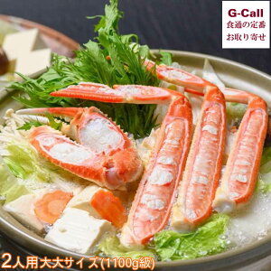 魚政 プレミアムズワイガニ地鍋セット 2人用 大大サイズ 1100g級 魚政BLACK 北海道・沖縄送料別 カニ鍋 お刺身 焼きガニ カニシャブ 雑炊 御祝 お取り寄せ