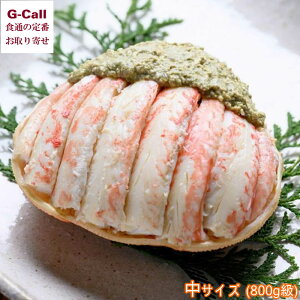 魚政 プレミアムズワイガニ甲羅盛り 蟹の漢船 中サイズ 800g級 北海道・沖縄送料別 ズワイガニ 雄 甲羅盛り カニ 蟹 蟹味噌 茹で蟹 御祝 ギフト お取り寄せ