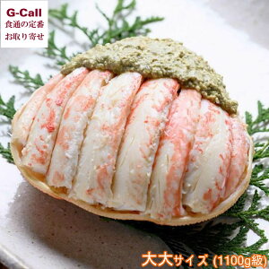  v~AYCKjb I̊D TCY 1100g kCEꑗ YCKj Y b Jj I IX 䥂ŊI j Mtg 