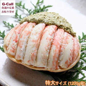  v~AYCKjb I̊D TCY 1200g kCEꑗ YCKj Y b Jj I IX 䥂ŊI j Mtg 