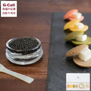 WpLrA {LrA1983 (12g) & JtujZbg kCEꑗ LrA {茧Y `EU Y uj  o^[