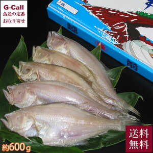 JF䋙A zOꂢ 銱 600g 5`8  Ⓚ    Ԃꂢ Ă g 񂩂 т̂ Y  CN O