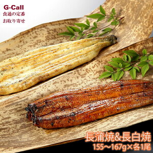 ĖڏX LȂ gZbg v2 Mtgp kCEꑗ V   ȒP  EiM y mLs  Yn Y