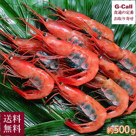 JF福井漁連 船内凍結甘えび 大サイズ 子持ち 約500g 約30匹 送料無料 冷凍 海老 甘エビ 甘えび エビ ミソ 海鮮 瞬間凍結 福井県 産地直送 お取り寄せ