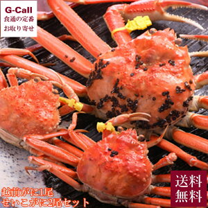 ywK{zJF䋙A zO 1  2 Zbg  I  Jj  Gߌ Yn zOKj 䌧 V[t[h Mtg 