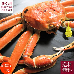 ywK{zJF䋙A zO 580gO 1  Jj I V[t[h   zOKj 킢 YCKj 䌧 VN Yn j 