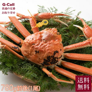 ywK{z JF䋙A zO 780gO 1 11{3{o  I Jj  zOKj  䌧 YCKj 킢 Yn