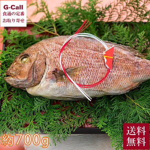 ̐X ߂ł  ߂ł  700g    ^C t ` Od h c j قق }Ⓚ ^pbN Yn