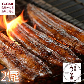 夏目商店 豊橋うなぎ 長蒲焼 2尾 ギフト 北海道・沖縄送料別 愛知県 お取り寄せ 鰻 うなぎ ウナギ 蒲焼 国産 贈答 ギフト 職人 産地直送