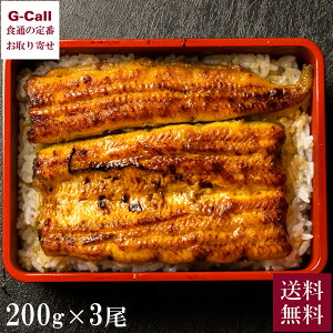 nƖ38N O Ȃ̊ nĂ mY 200g 3{  ① Yn  jzEiM Ȃ V Y y ` ^ Mtg 蕨