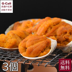  kOY Ă 40g 3  OݎY Ej _O ĂEj 郉[  ͂̂Ƃ  YҒ Mtg ͂ CN ܖڂ