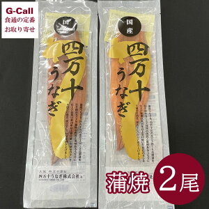 l\Ȃ  2Zbg kCEꑗ EiM V  ^ `̃^ l\ Y N̓ y 蕨 Mtg [J[ 