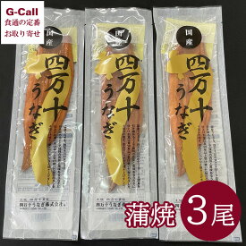 四万十うなぎ 蒲焼 3尾セット 北海道・沖縄送料別 ウナギ 鰻 魚介類 無添加タレ 秘伝のタレ 四万十川 炭火 丑の日 惣菜 贈り物 ギフト メーカー直送 お取り寄せ