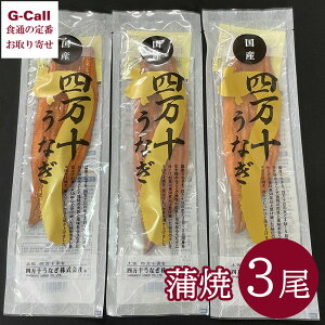 l\Ȃ  3Zbg kCEꑗ EiM V  ^ `̃^ l\ Y N̓ y 蕨 Mtg [J[ 