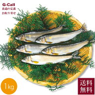 荒川養殖漁業生産組合 生鮎 1kg 送料無料 魚 魚介 海鮮 アユ 栃木県 日光 鬼怒川 那珂川 和食 塩焼き 炭…
