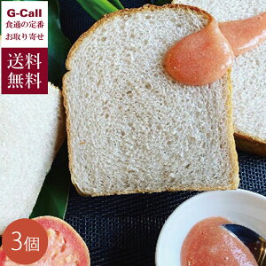 썑ɂ_ L@OAo_̊nt[c\[X 3Zbg  L@͔| n OAo \[X W r^~C t[c Mtg 蕨 YҒ