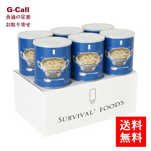 ToCot[Y  ۑH  `LV`[ 6 ws  25N~H ۑH t[YhC V`[ ȒP H [J[ 