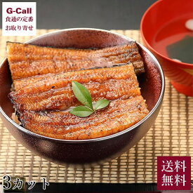 【冷蔵】 浜松 うなぎの井口 国産うなぎ蒲焼 国産 うなぎ 3カット セット 冷蔵 送料無料 無添加 蒲焼 かば焼き ウナギ 鰻 惣菜 魚介 和食 ギフト