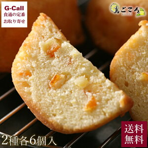 v~A 12 (˓cP[L6E˓cl[uP[L6) kCEꑗ  P[L mَq َq XC[c yY