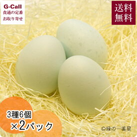 田子たまご村 ミックス 緑の一番星 有精卵 にんにく卵 3種 6個 2パック