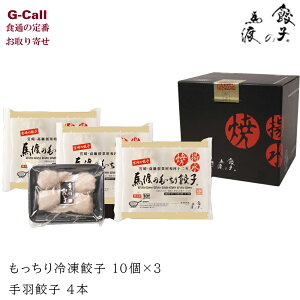 餃子の馬渡 もっちり餃子と手羽餃子セット 計4個 北海道・沖縄送料別 宮崎県 お取り寄せ ギョウザ ぎょうざ 手羽先 鶏肉 惣菜 中華 ギフト 贈り物 生産者直送