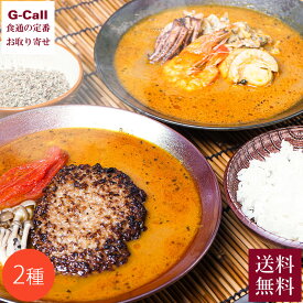 奥芝商店 スープカレー食べ比べ 2種 2個 送料無料 カレー 北海道 海鮮 おくしばーぐ お取り寄せ ギフト 贈り物 海鮮カレー 中辛 ハンバーグ 惣菜 生産者直送