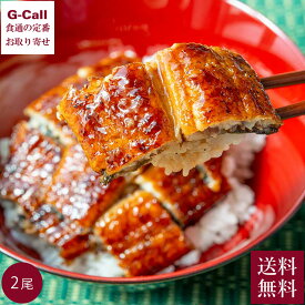 若狭小浜 丸海 小浜海産物 鹿児島県産 うなぎ蒲焼き 2尾入り 送料無料 うなぎ ウナギ 蒲焼 鰻 惣菜 魚 南鹿児島 冷凍 ギフト 生産者直送 お取り寄せ