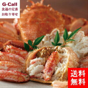 北海道ぎょれん 北海道産ボイル毛がに 500g 2個 専用スプーン付 送料無料 魚介 蟹 かに カニ 産地直送 毛蟹 ボイル毛がに ぎょれん