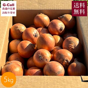 Hׂ xǖY ܂˂ k݂2000 5kg 10{12{o ws  ʂ˂ ʔK kC Yn Â h  M 