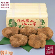 JA丹波ささやま 丹波篠山 山の芋 約3kg 優品 指定日不可 送料無料 やまのいも ヤマノイモ とろろ 野菜 イ…