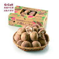 JAみなみ魚沼 八色（やいろ） 生しいたけ 1kg箱入 送料無料 椎茸 シイタケ きのこ キノコ 新潟県 南魚沼…