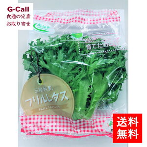 �A���H�� �ɐ��؉� ������ �t�������^�X 10�p�b�N �������� �t�������^�X ���^�X �ʕ ������