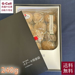 啪Yő Xe[L 240g  STP-50  ő  VC^P ǂ ؍͔| 啪 o` Xe[Lp Mtg Yn 
