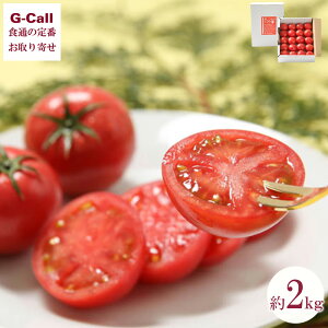悵Ƃ܂ 2kg 40`48 m Ă؂Ƃ܂ƐYg 6{`11{o kCEꑗʃg}g t[cg}g Ɨp Yn Mtg