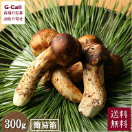 ブータン松茸 300g 約6〜8本 簡易箱 8月上旬〜9月下旬出荷 送料無料 指定不可 まつたけ 天然 野菜 きのこ…