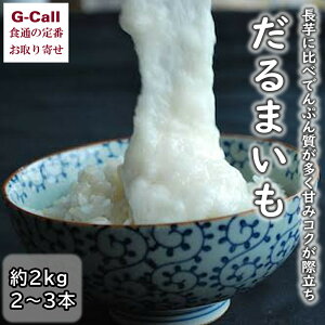 ���V�_�� �k�C���Y ����܂��� 2�`3�{ �v2kg �l��/��B�E���ꑗ���� �N�[���� ��� �{ �R�� �Ƃ�� ���N ���{���s �R���� ������ �k�C�� �Y�n���� ����