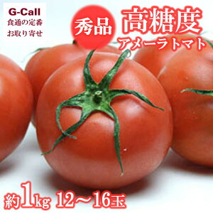 �x�͉� �G�i �����x�g�}�g �A���[���g�}�g ��1kg 12�`16�� �������� ��� �{ �Â� �Ƃ܂� �Y�n���� �É��� ���쌧 ������ �T���_ ��� �Z�� ���� �M�t�g