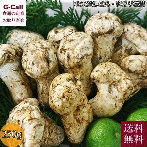 KiO 󂠂 kĎY  250g 10{`11{o ws  ܂ ܂ { H̖o ̂ LmR   O