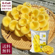 アスリー 花咲たもぎ茸 生 80g×4袋 送料無料 野菜 きのこ キノコ エルゴチオネイン 希少 幻 健康 出汁 …