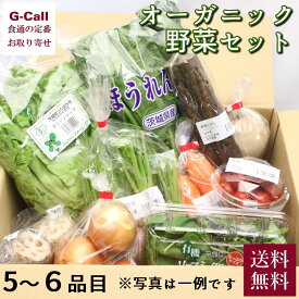 オーガニック野菜のセット S 5～6品目 送料無料 健康 旬 詰合せ 冷蔵 有機 無農薬 長野県 つくば市 野菜 セット