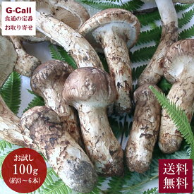 天助 国産 まつたけ お試し100g 約3〜6本 9月中旬から10月下旬頃出荷 指定日不可 送料無料 松茸 マツタケ きのこ 高級 つぼみ松茸 スダチ付き 補償付き 土瓶蒸し