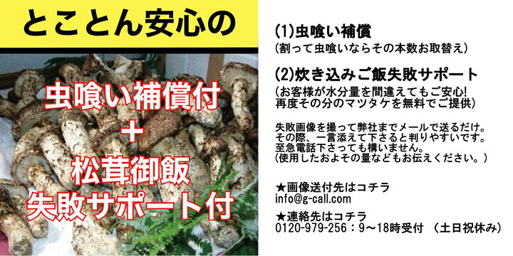 楽天市場】天助 国産 まつたけ 400g 約4〜10本 良品出荷次第発送 指定 