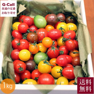 ���m�Y �t�@�[���P �J���t���~�j�g�}�g�̕�Δ� ��1kg 12����{����5�����{�o�� �w����s�� �������� ���m �t���[�c�g�}�g �g�}�g �H�ה�� �y�� ��؃\�����G