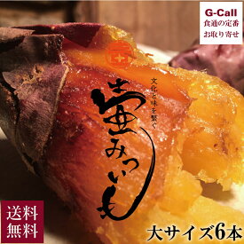 HANZAWA 壺みついも 丸ごと大 6本セット 北海道・沖縄送料別 冷凍 焼き芋 やきいも さつまいも 紅はるか 鹿児島県産 サツマイモ 蜜いも みついも 食物繊維 贈答