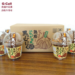 JA䂤X nJA䂤X̍ɂɂ 100g 6 l/BEꑗ jjN f |tFm[ X Y NHi YҒ